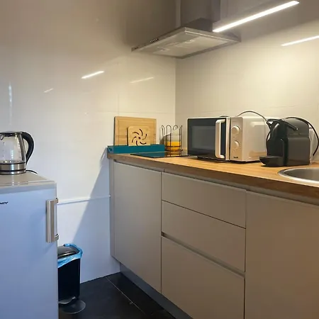 Alpehytte Brown House