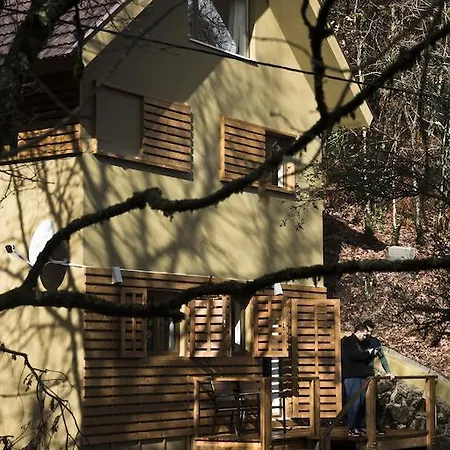 Alpehytte Brown House