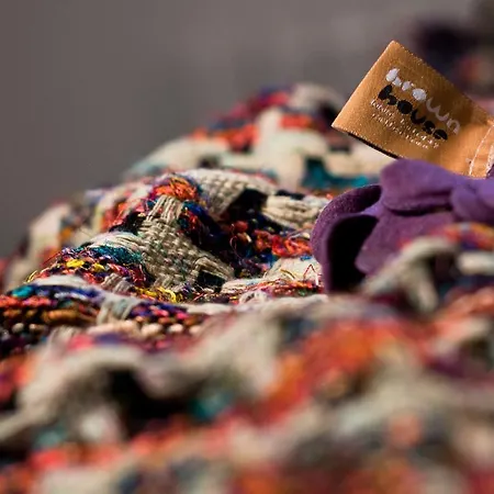 Alpehytte Brown House